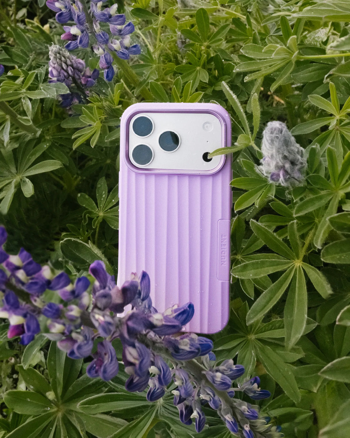 Bold Case